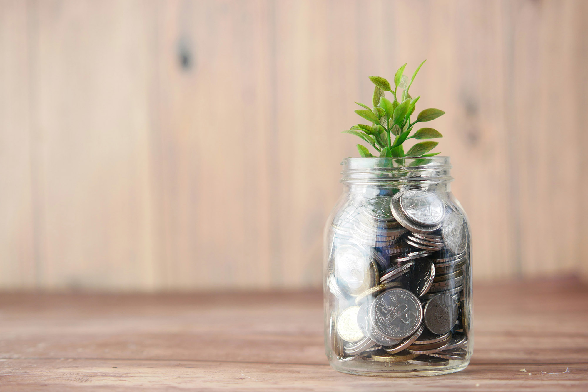 Close up shot of glass jar, full of money, with small fake plant growing out of the jar